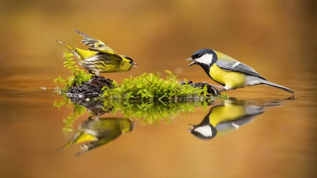 couple arguing