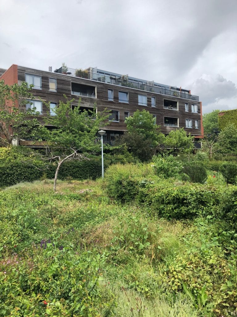 House in Amsterdam in the green